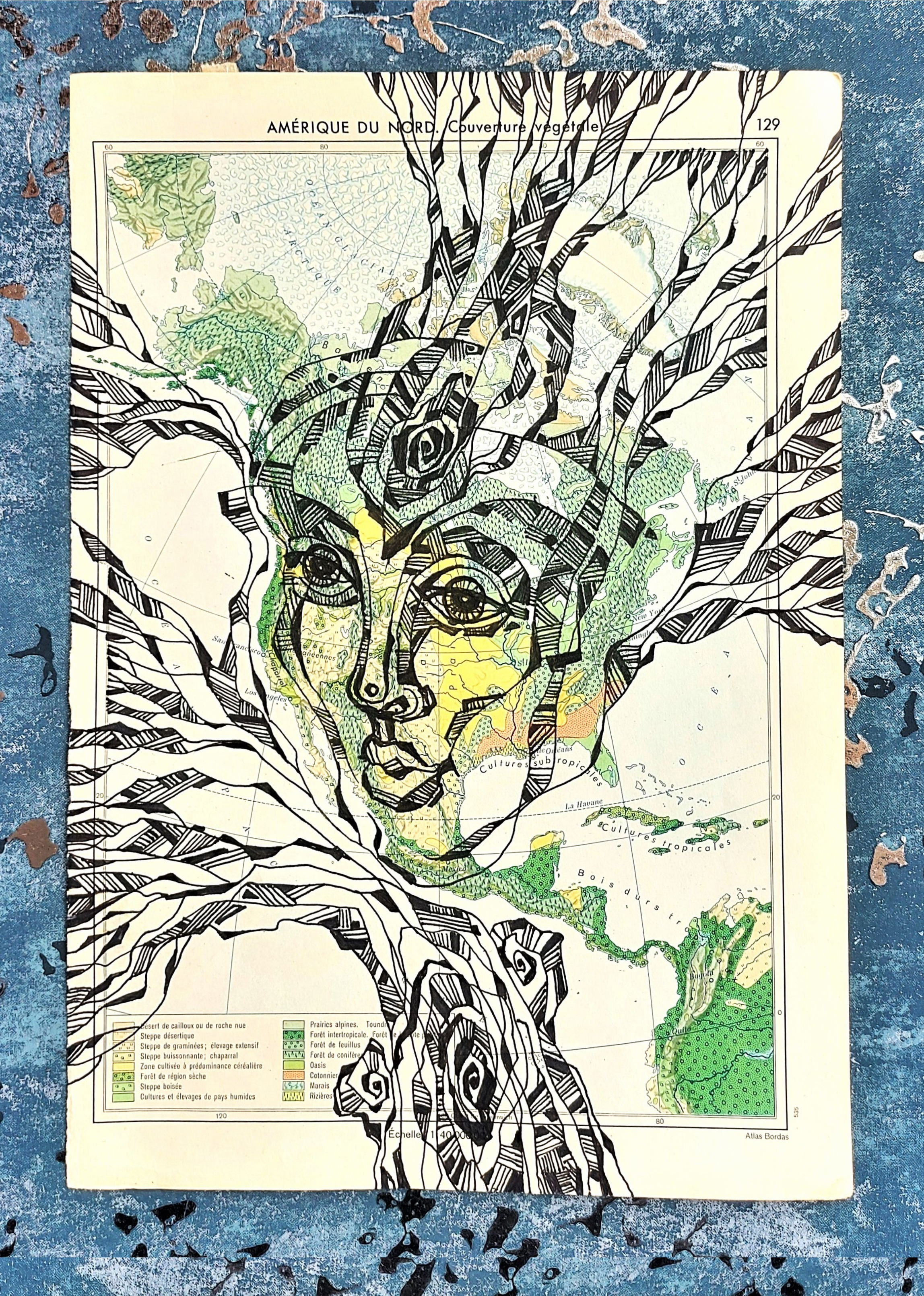 North America Lady artwork